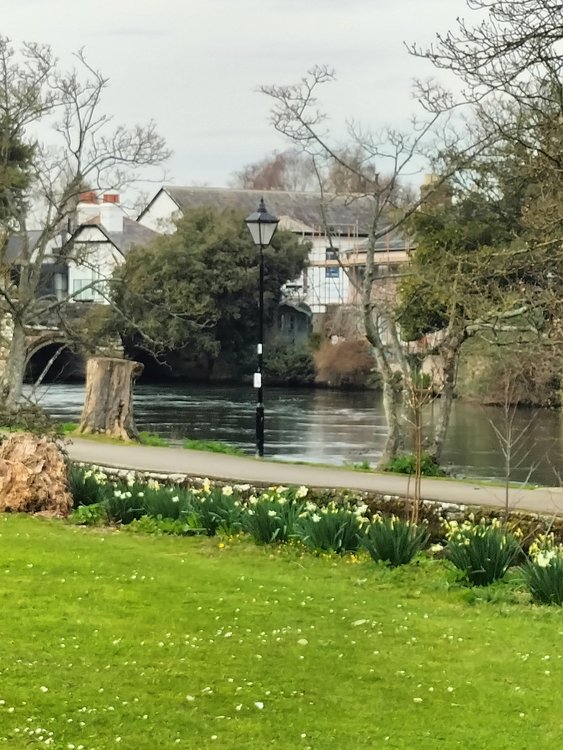 Interesting scene in Christchurch