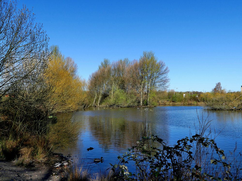 Ferrymoor Flash Nature Reserve