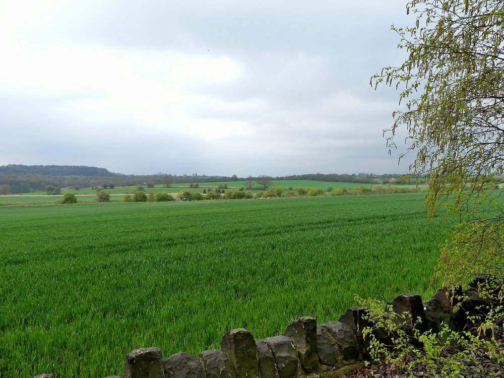 Farmland at Cudworth South Yorkshire