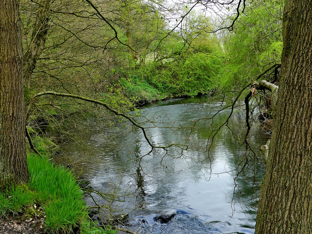 River Dearne Cudworth
