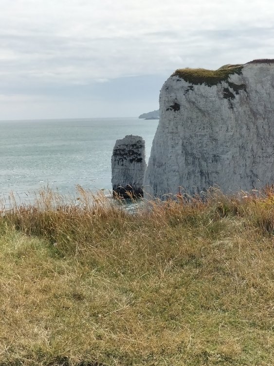 Stack very near Old Harry Rocks, Studland, Dorset.