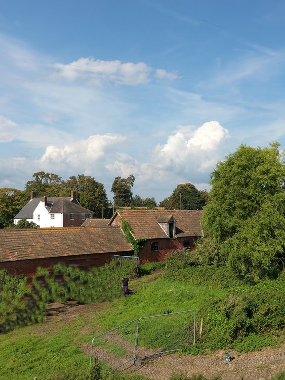 Rural scene in Burton near Christchurch
