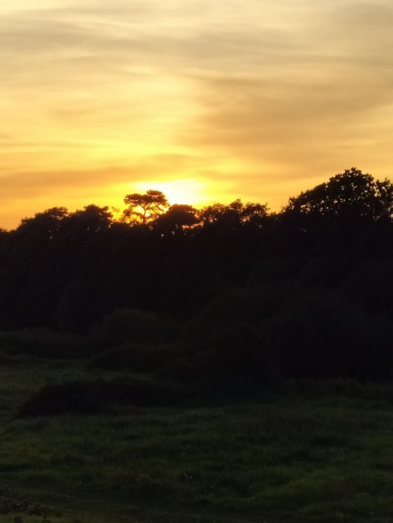 Great sunset near Christchurch