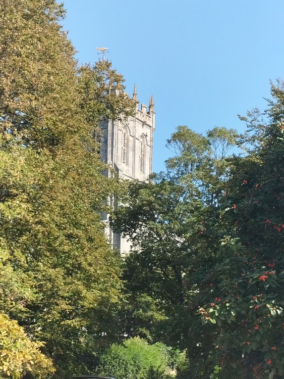 Christchurch Priory amongst the trees