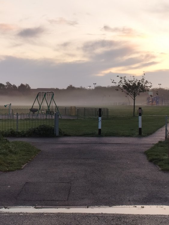 Misty morning scene in Somerford, Christchurch