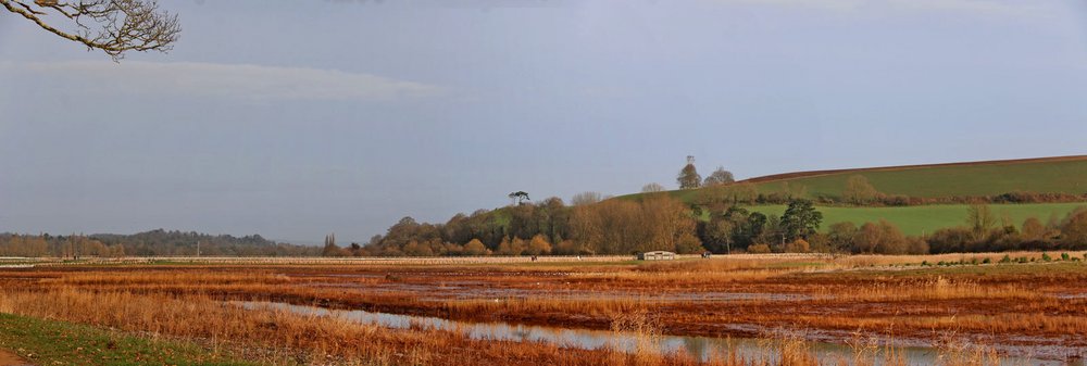 20231226 Brown mud flats of LORP