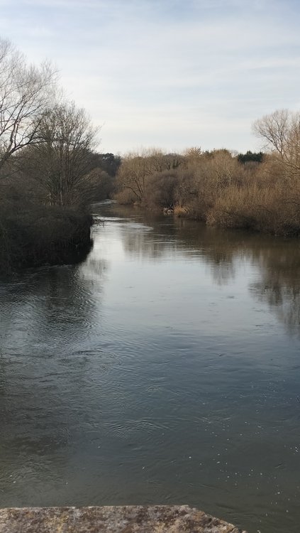 The River Stour at Iford near Bournemouth