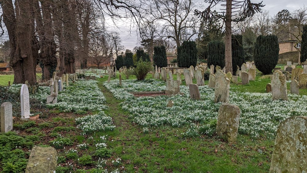 Snow Drops at St Michael and All Angels Church, Uffington, Lincs