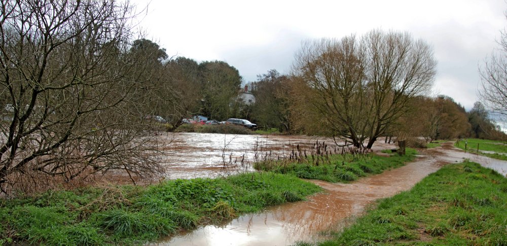 20240218 No path walking  today