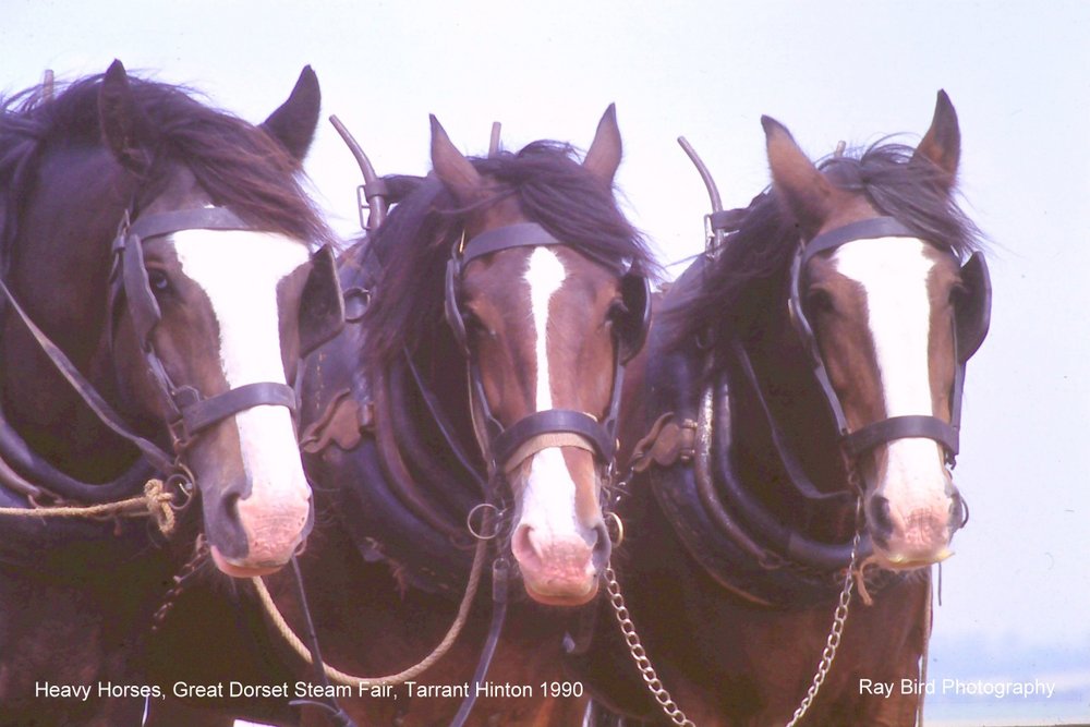 Great Dorset Steam Fair, Tarrant Hinton 1990
