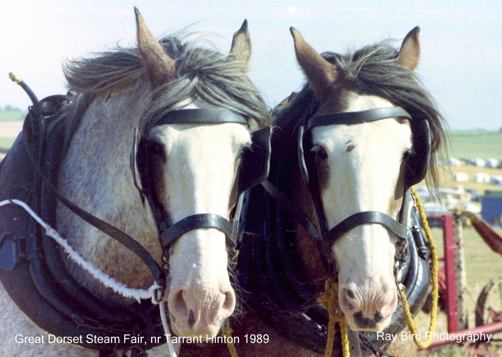 Great Dorset Steam Fair, Tarrant Hinton 1989