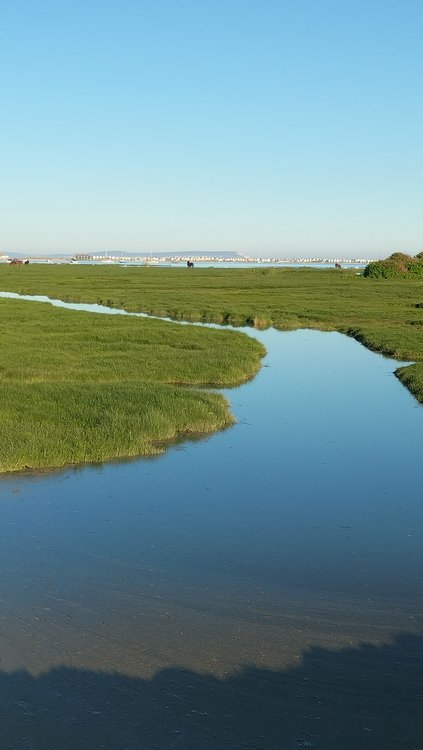 The view from Stanpit Marsh in Christchurch
