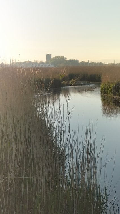 View towards the Priory church in Christchurch from Stanpit Marsh
