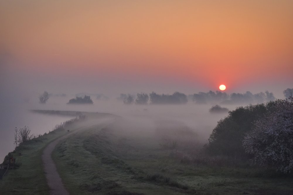 Dawn on the marsh