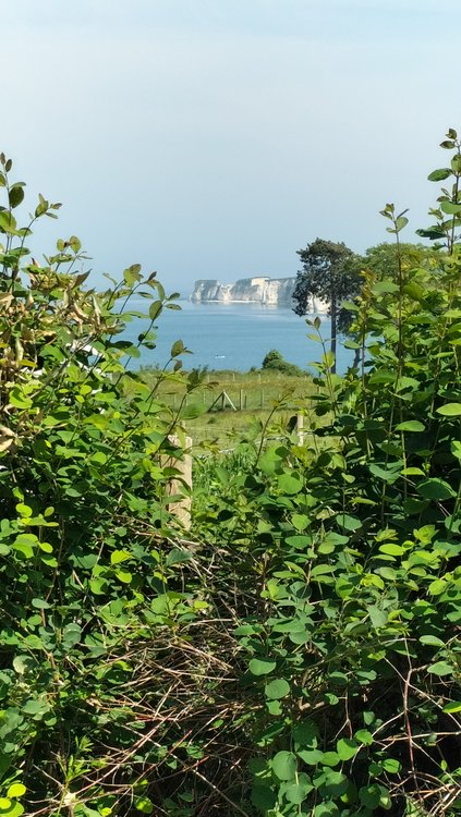 A view towards Old Harry Rocks near Swanage