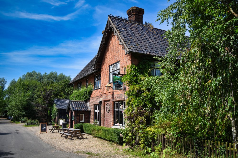 Photograph of The Black Swan