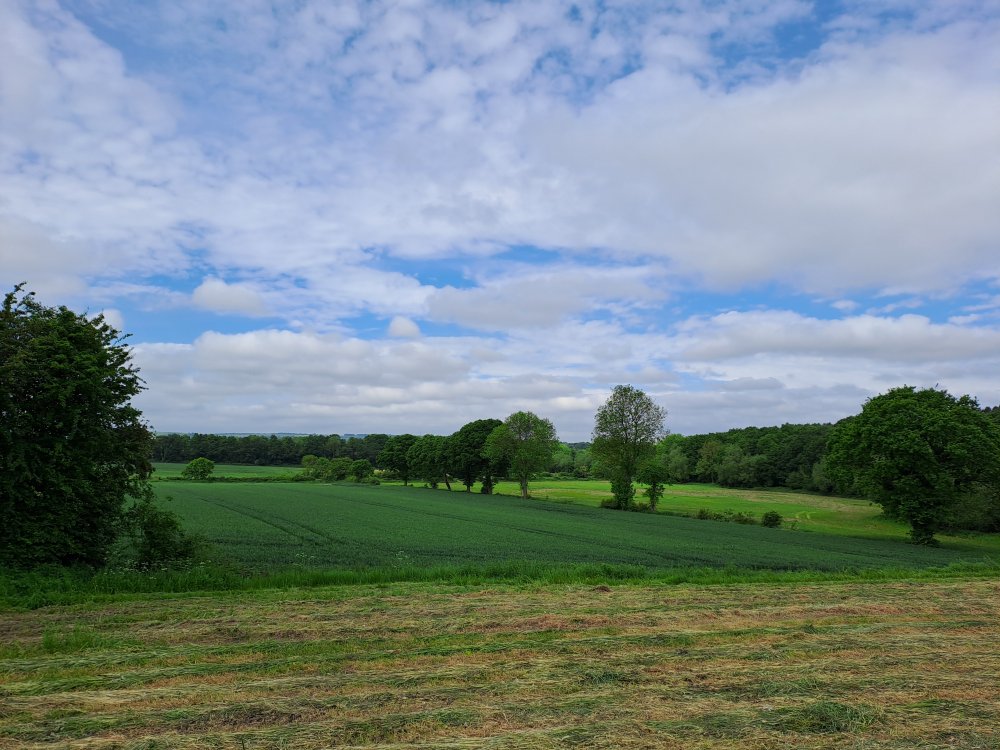 Photograph of Farm Land at Cold Hiendley