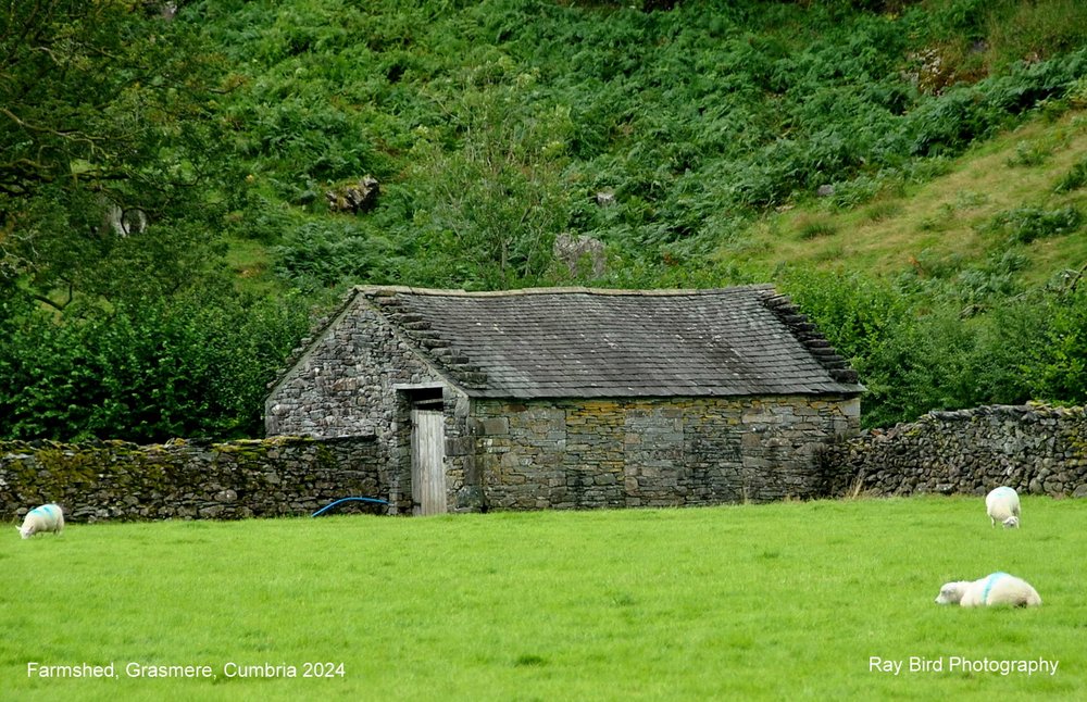 Old Farmshed, Grasmere, Cumbria 2024