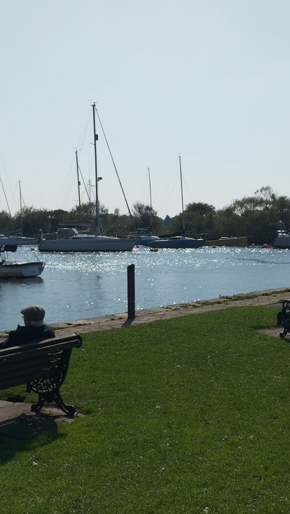 Sparkling river water at Town Quay in Christchurch