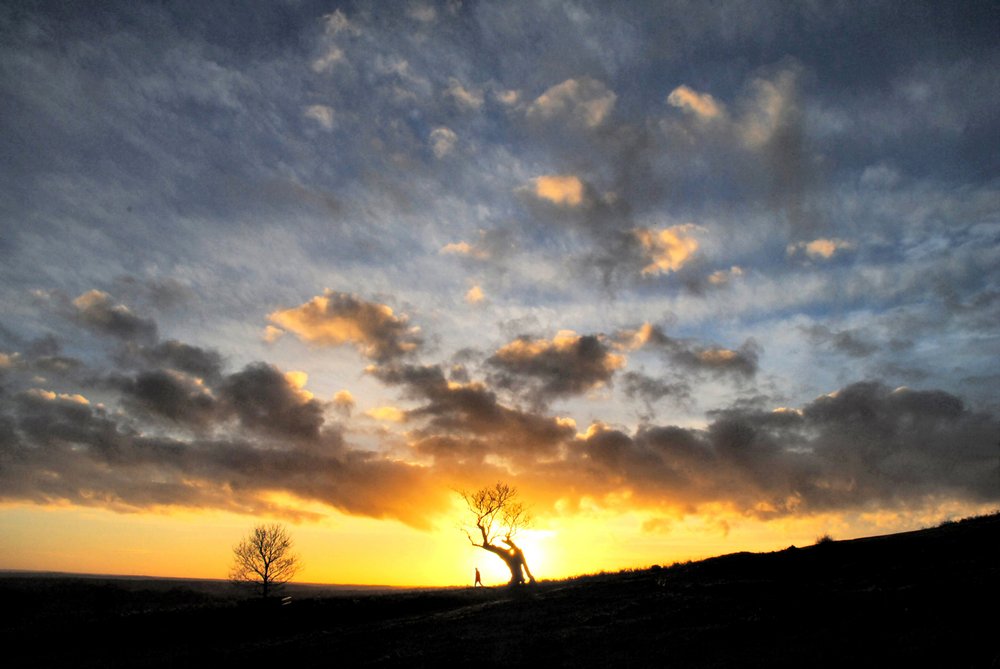 Bradgate Park in Winter