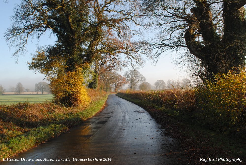 Littleton Drew Lane, Acton Turville, Gloucestershire 2014