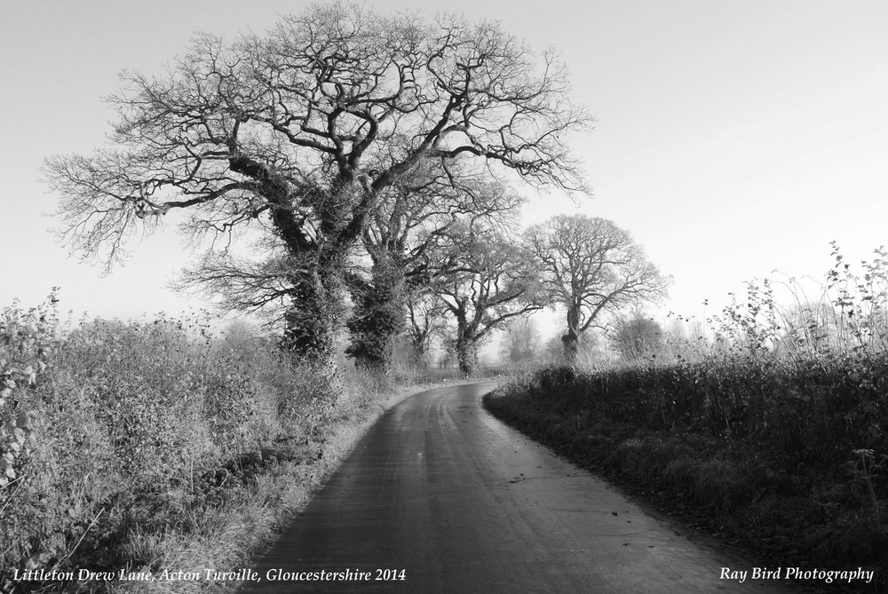 Littleton Drew Lane, Acton Turville, Gloucestershire 2014