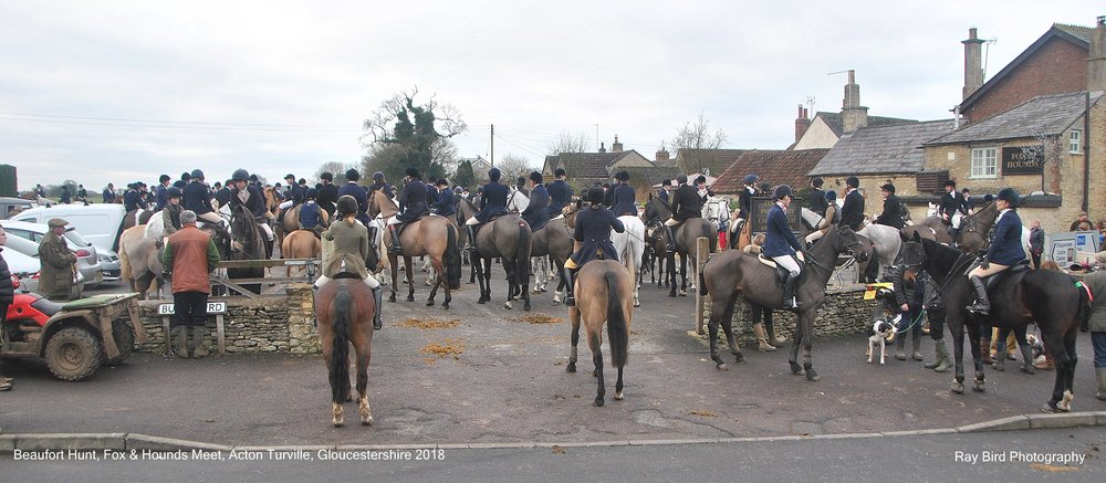 Beaufort Hunt, Fox & Hounds Meet, Acton Turville, Gloucestershire 2018