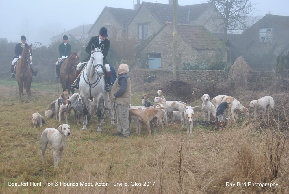 Beaufort Hunt, Fox & Hounds Meet, Acton Turville, Gloucestershire 2017