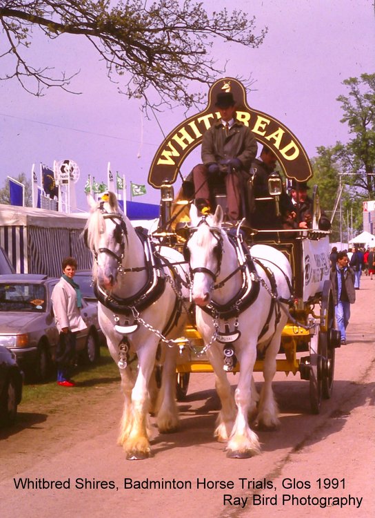 Badminton Horse Trials, Gloucestershire