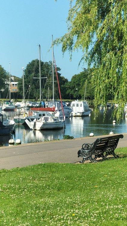 Boats on the river in Christchurch