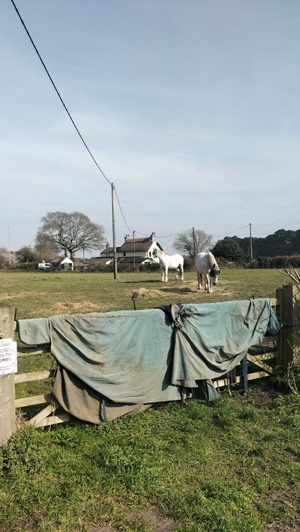 Very attractive thatched country cottage near Christchurch