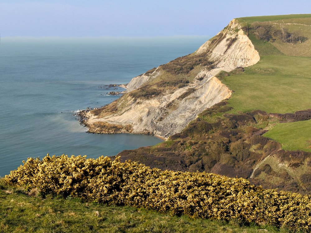 Houns-tout cliff, w of With Matravers, Dorset